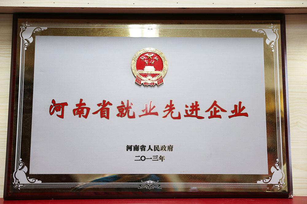 河南省就业先进单位