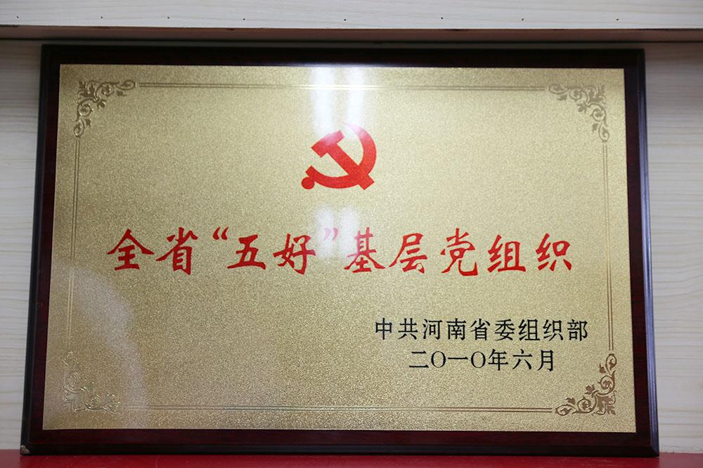 河南省五好基层党组织